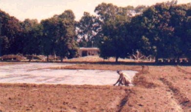 egypt-1980-1.jpg