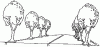 continuous-mulching-between-trees-or-columns.jpg